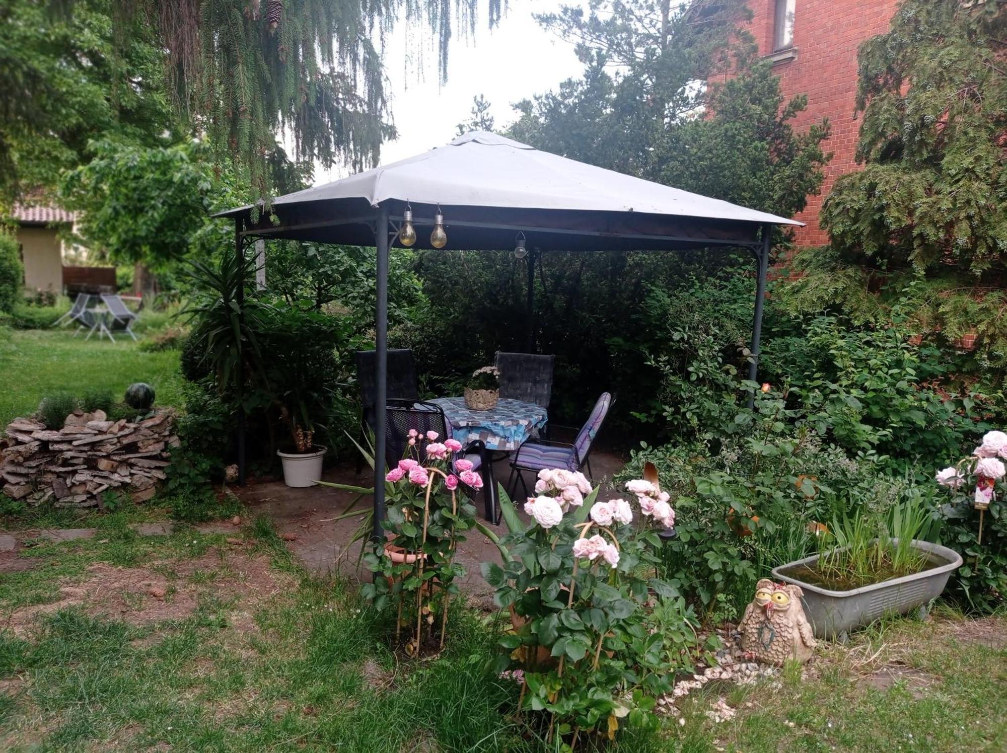 בלאנקנבורג Ferienwohnung Markert חדר תמונה
